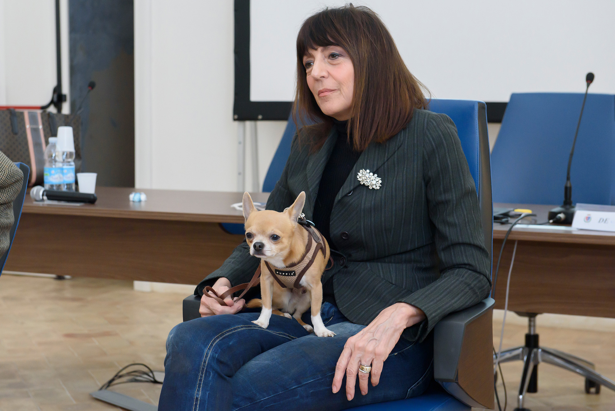 Presentazione del libro della scrittrice Romana Petri