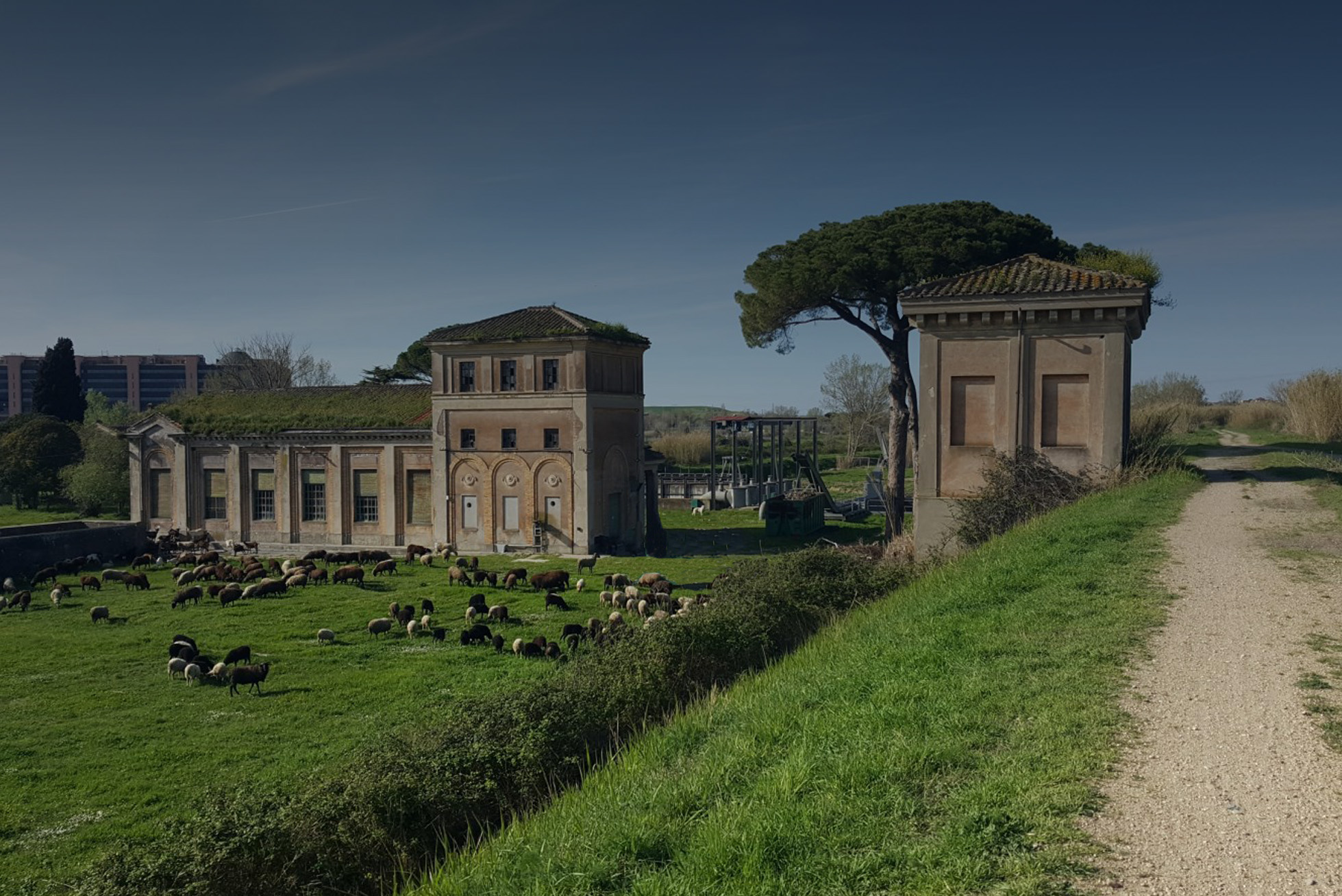 Itinerari culturali-naturalistici nell'Agro romano antico